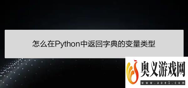 怎么在Python中返回字典的变量类型