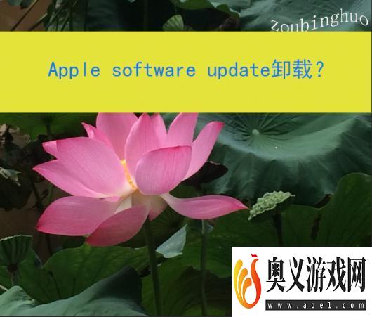 Apple software update卸载？