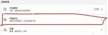 Win11传递优化怎么关