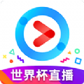 优酷谷歌商店版无广告app下载  v10.1.5