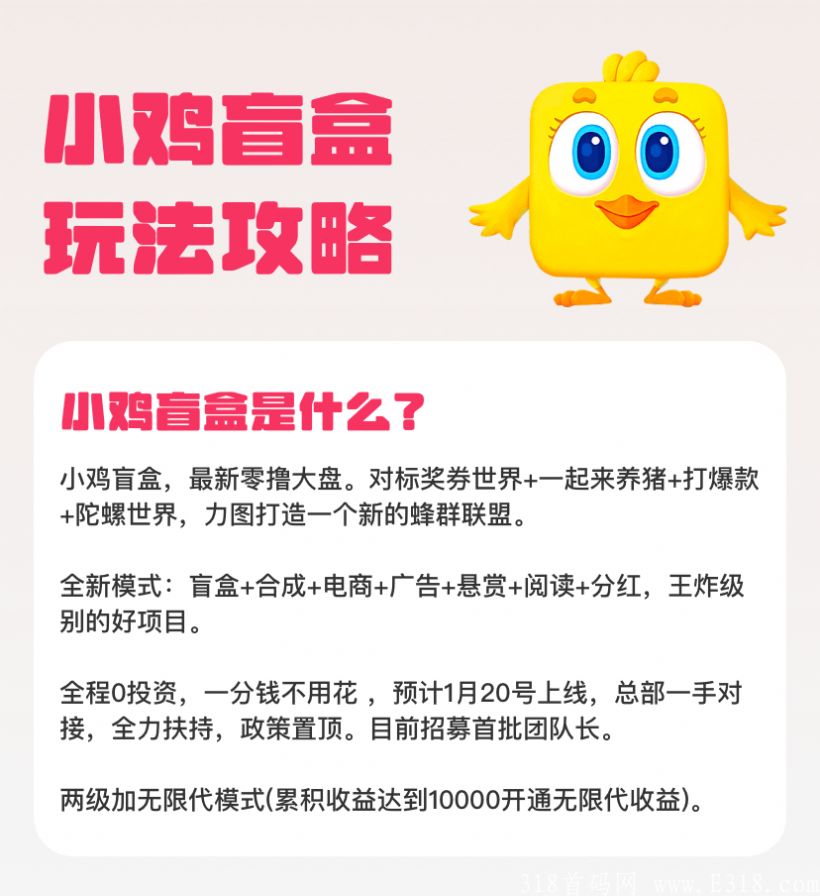 小鸡盲盒首码免费领取app图片1