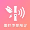 露竹流量精灵下载安装免费  v2.6.2