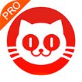 猫眼专业版app下载安装官网版  v6.19.0