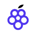 树莓盘app官方版下载  v2.7