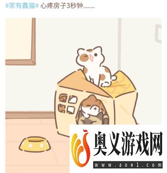 遇见你的猫触发喵圈方法条件大全