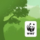 WWF森林探索者v2.0