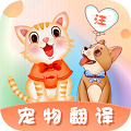 猫语翻译器v1.0