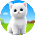 宠物猫生活模拟器3D安卓中文版