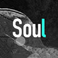 Soul3.84版本